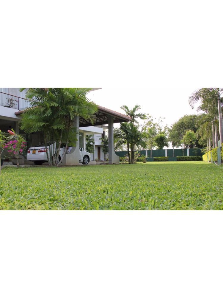 Lake Wind Hotel Tissamaharama Extérieur photo